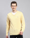 Men Yellow Solid V Neck Full Sleeve Pullover