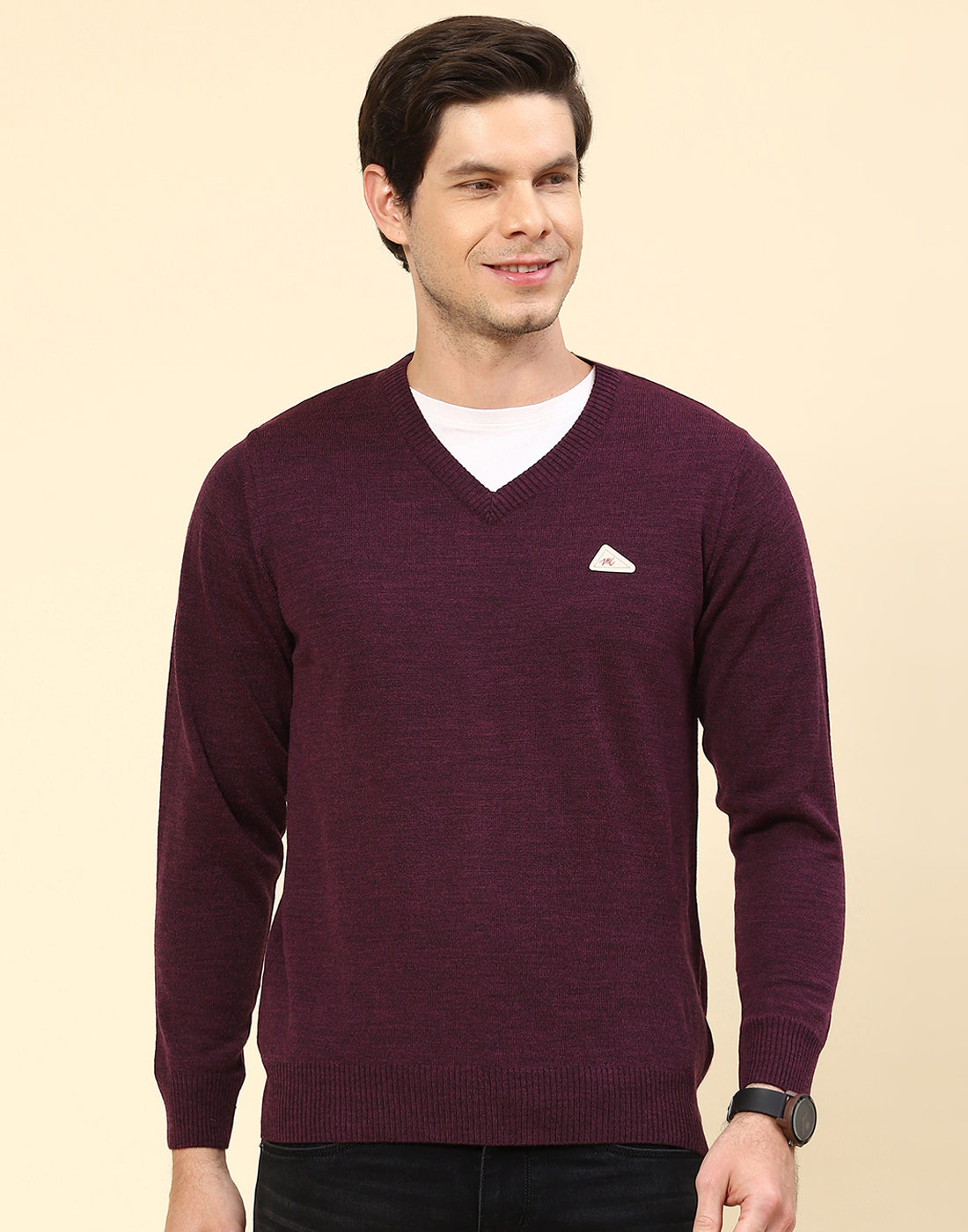 Men Purple Solid V Neck Full Sleeve Pullover