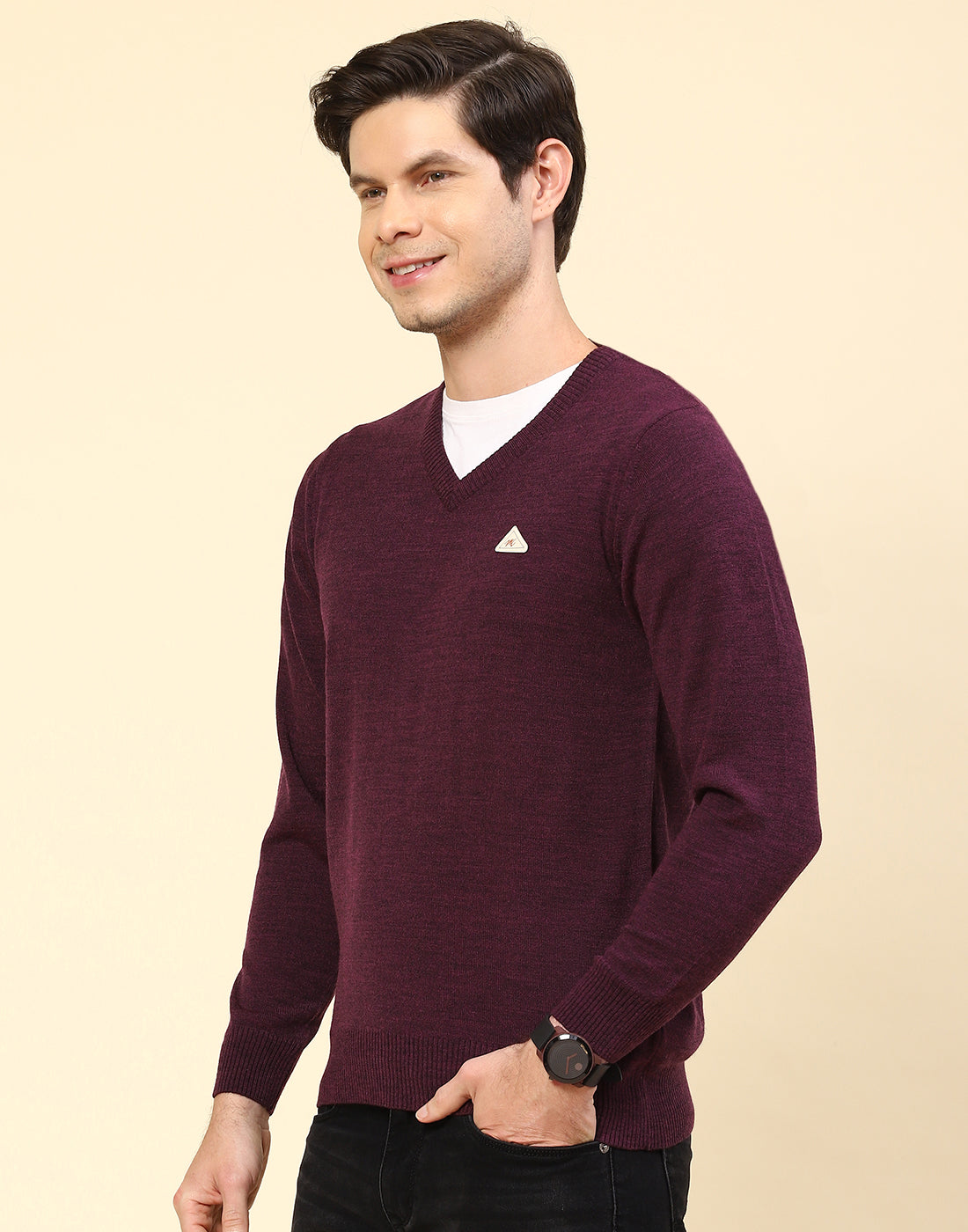 Men Purple Solid V Neck Full Sleeve Pullover