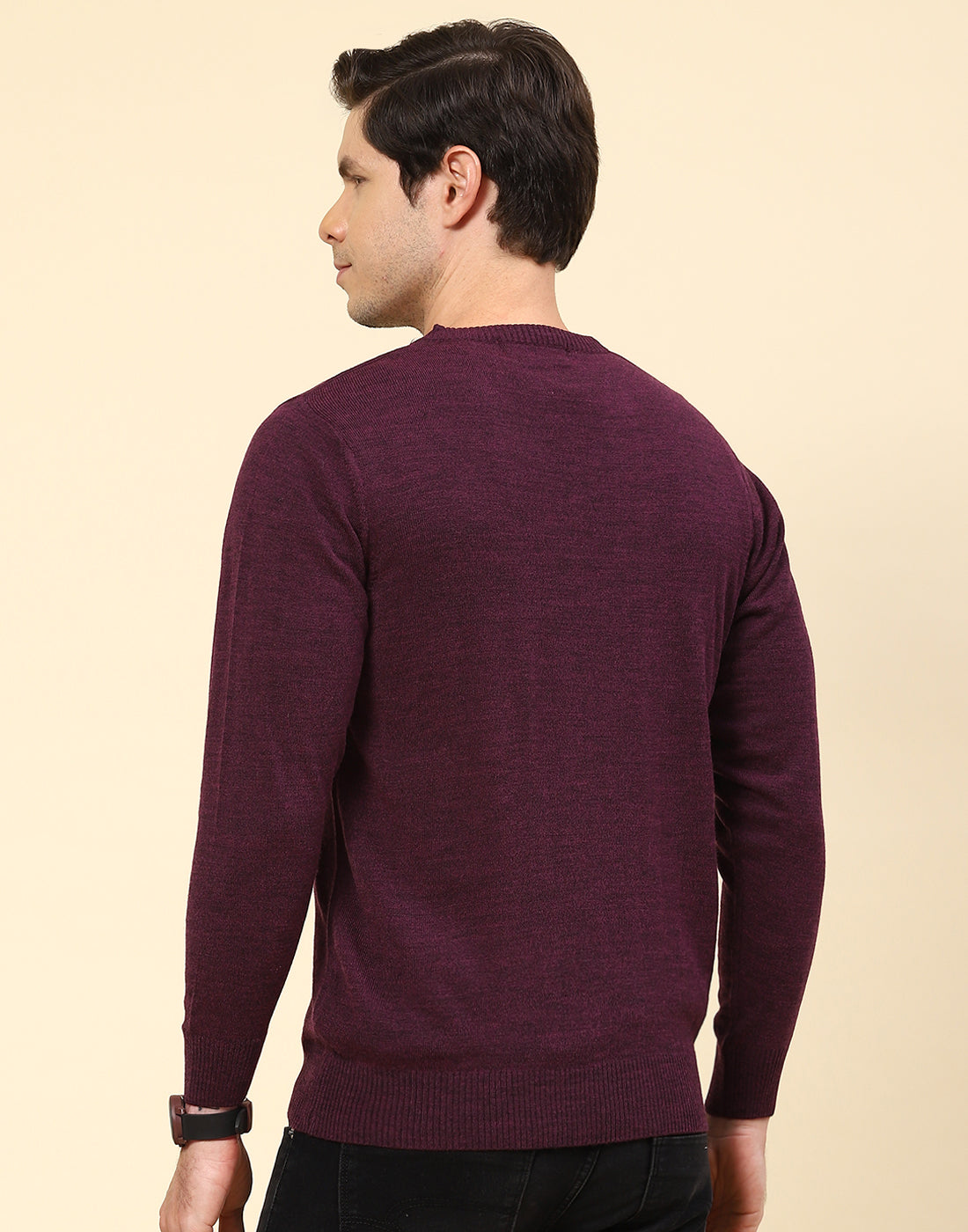 Men Purple Solid V Neck Full Sleeve Pullover