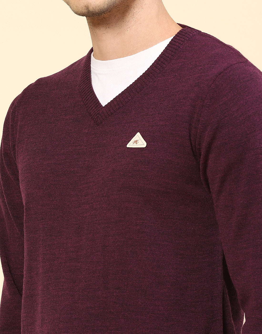 Men Purple Solid V Neck Full Sleeve Pullover