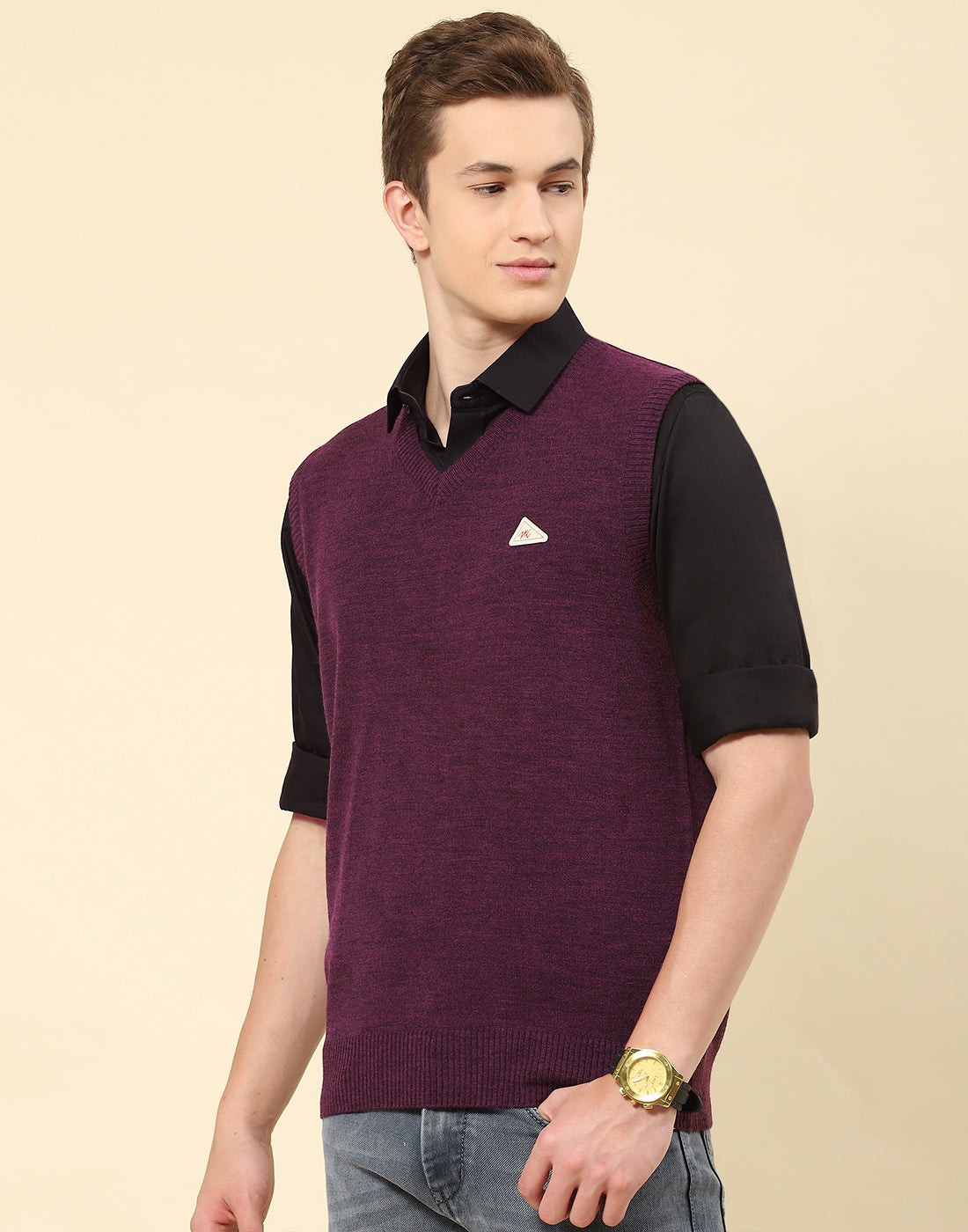 Men Purple Solid V Neck Sleeveless Sweater