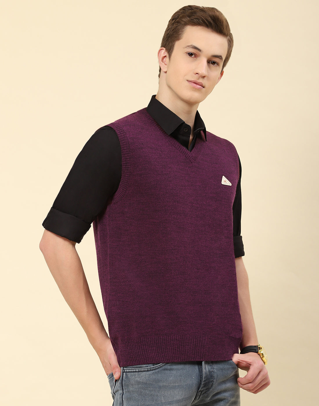 Men Purple Solid V Neck Sleeveless Sweater