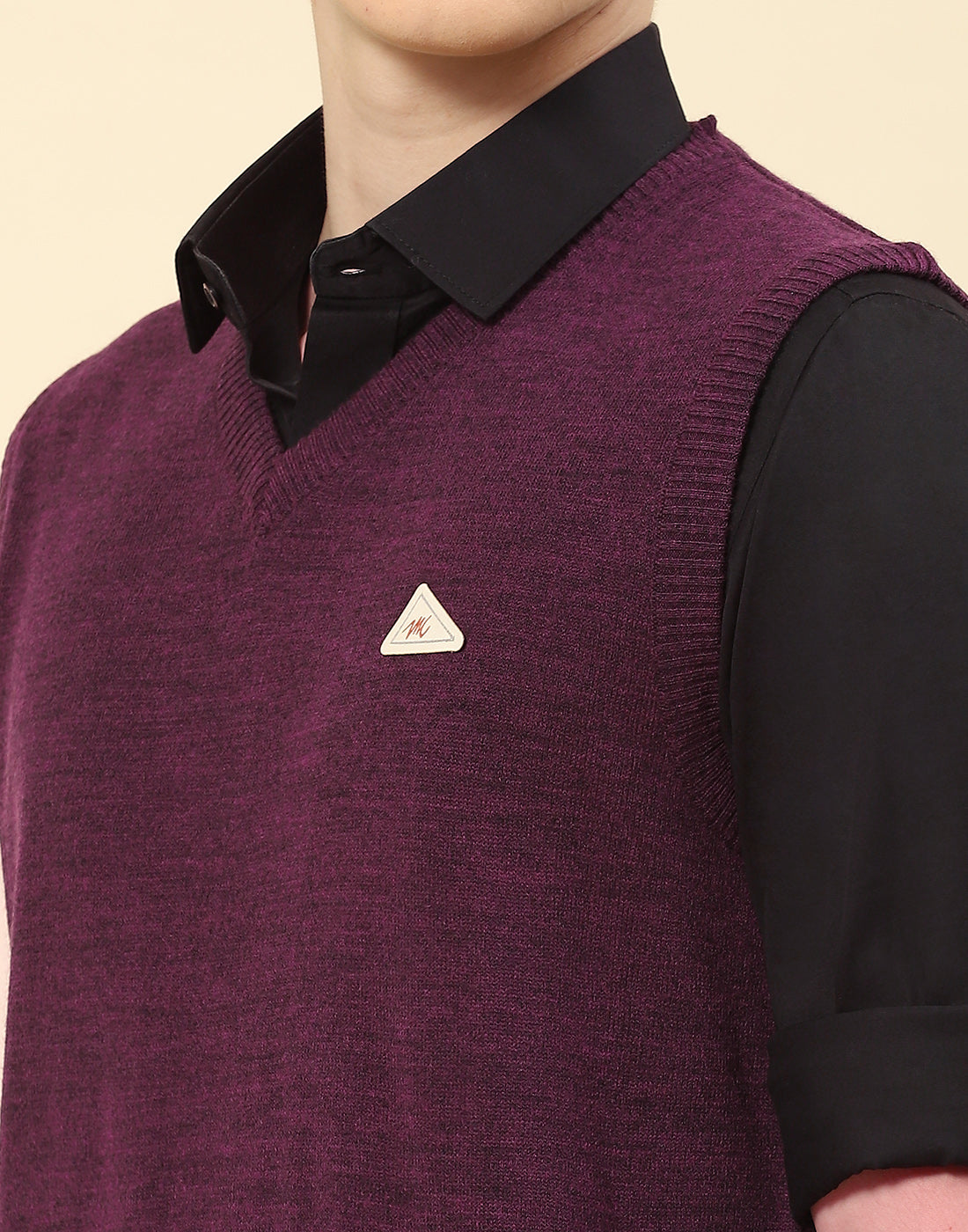 Men Purple Solid V Neck Sleeveless Sweater