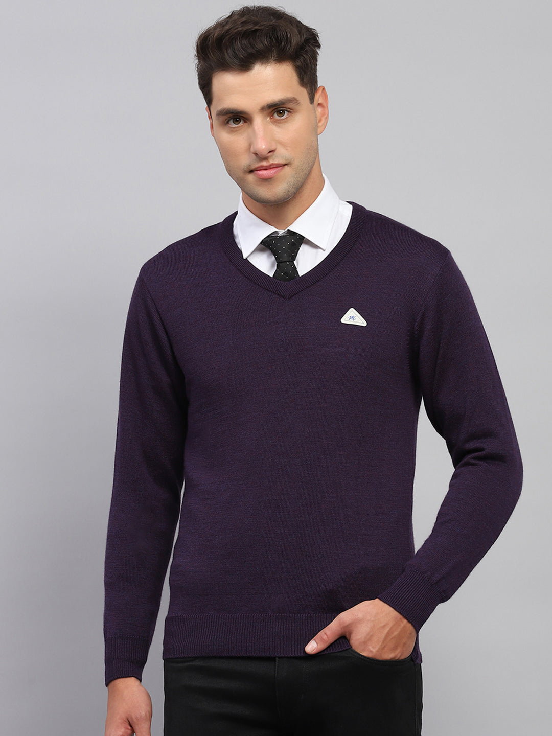 Men Purple Solid V Neck Full Sleeve Pullover