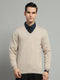 Men Beige Solid V Neck Full Sleeve Pullover