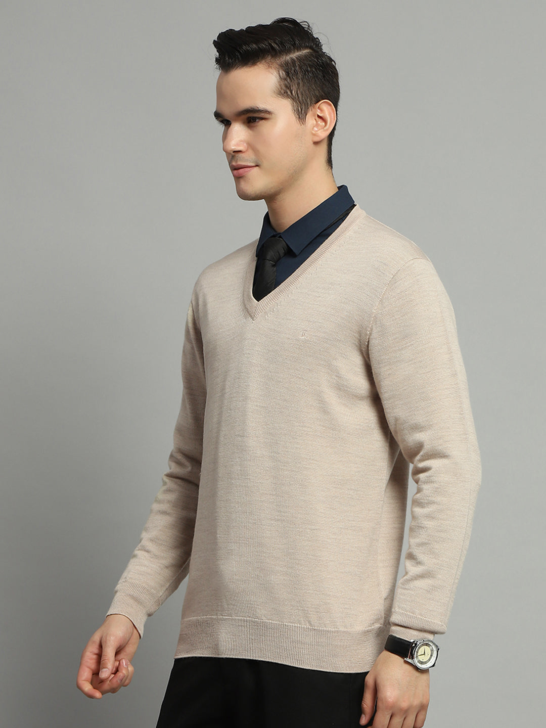 Men Beige Solid V Neck Full Sleeve Pullover