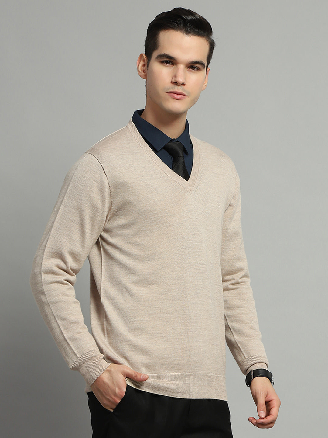 Men Beige Solid V Neck Full Sleeve Pullover