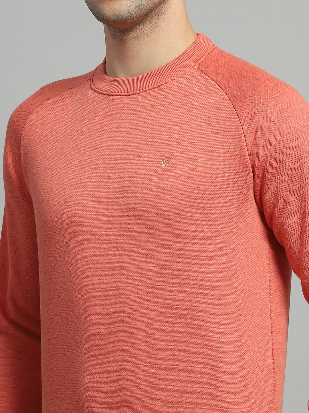 Men Orange Solid Round Neck Full Sleeve Sweatshirt