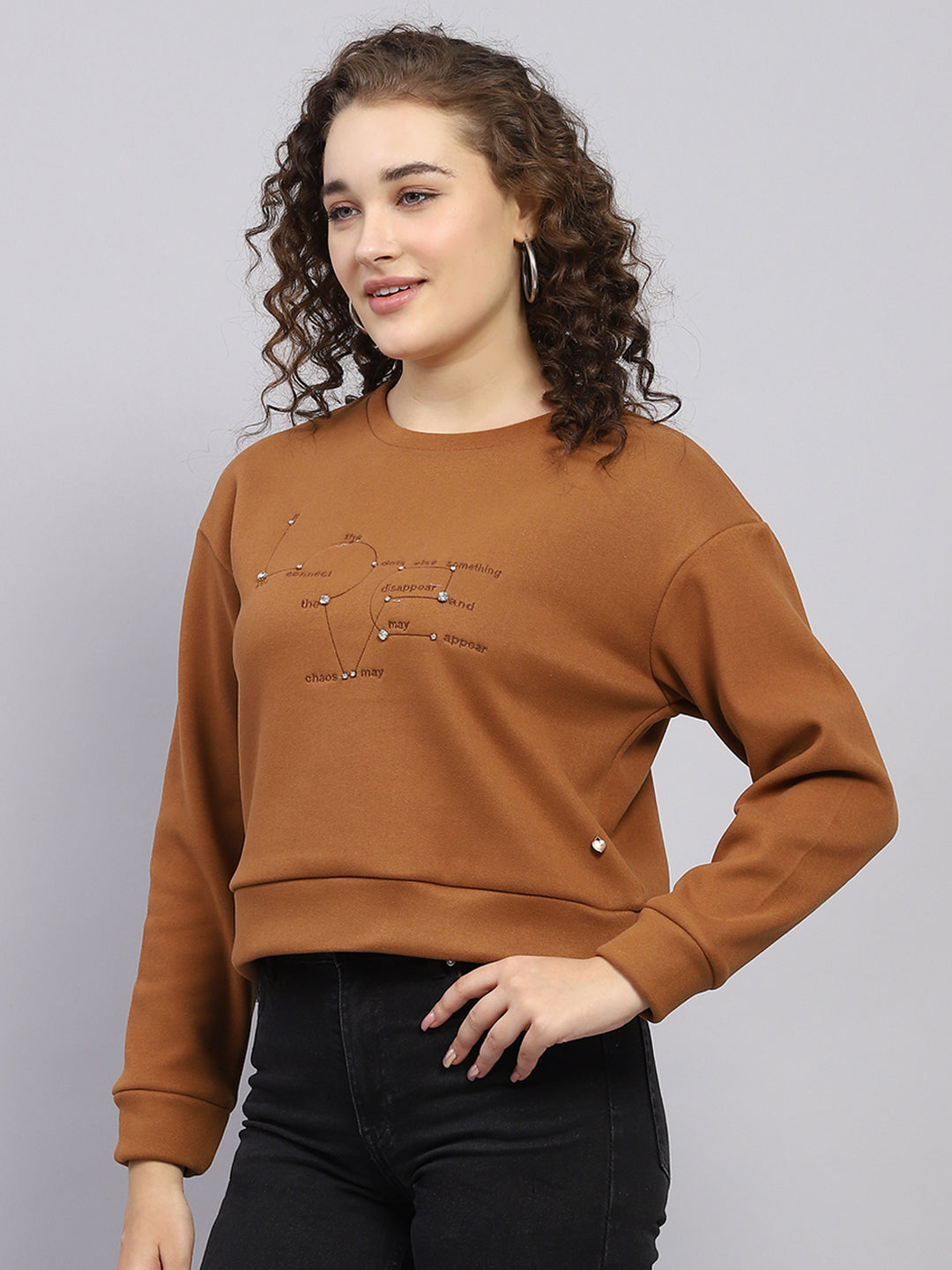 Women Brown Embroidered Round Neck Full Sleeve Sweatshirt