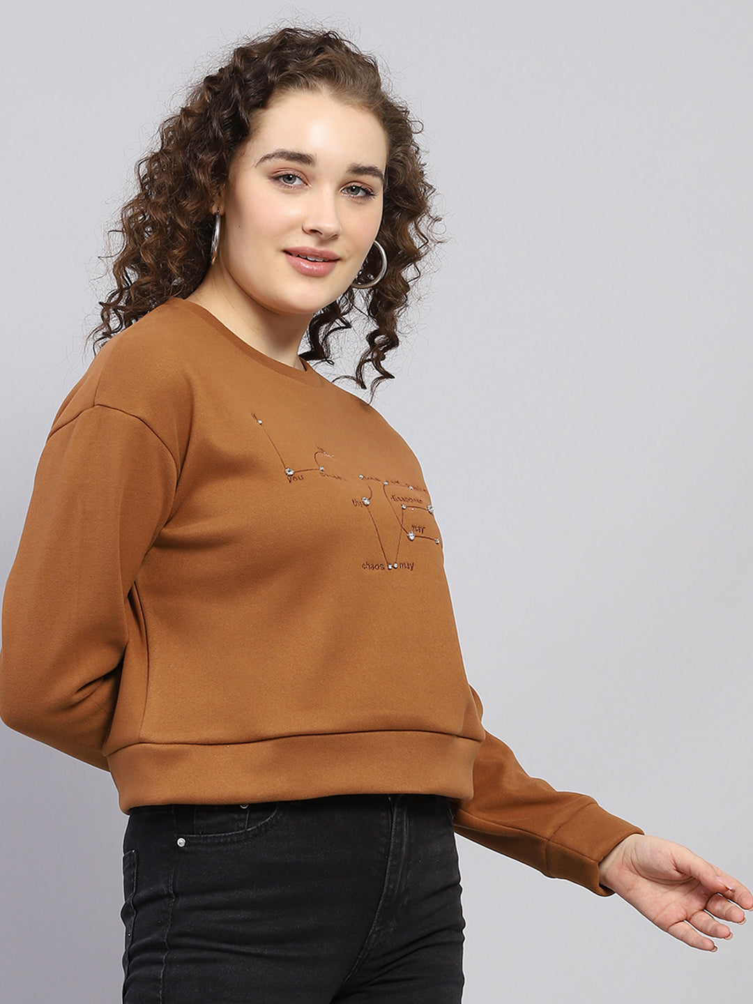 Women Brown Embroidered Round Neck Full Sleeve Sweatshirt