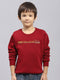 Boys Maroon Printed Round Neck Full Sleeve Sweatshirt