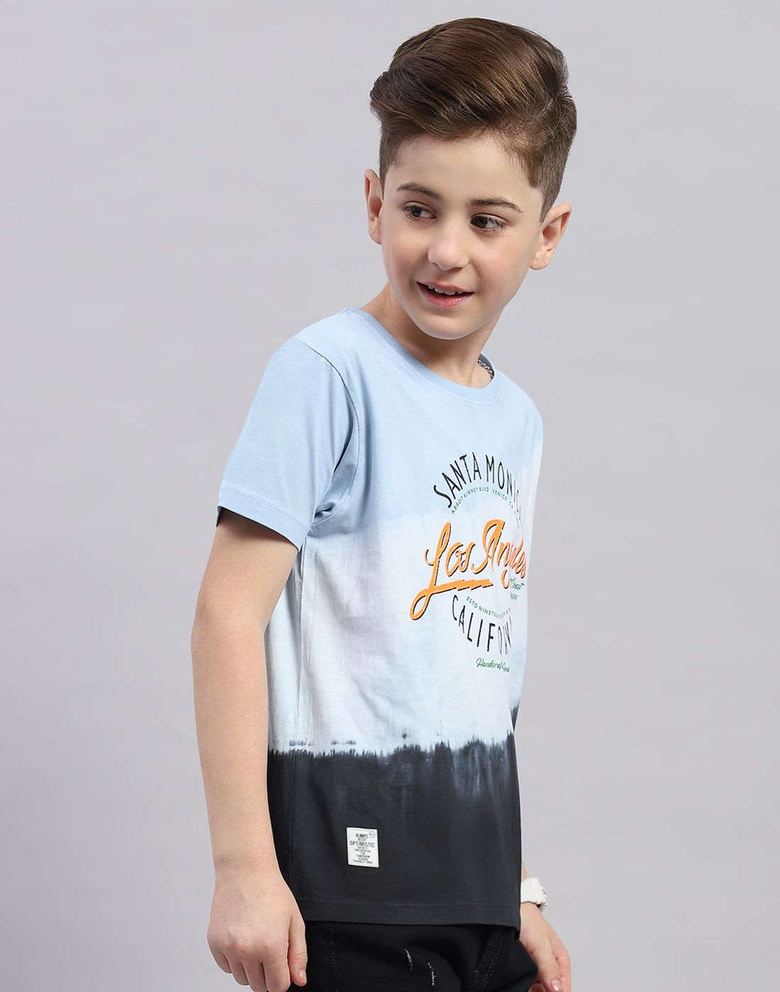 Boys Blue Printed Round Neck Half Sleeve T-Shirt