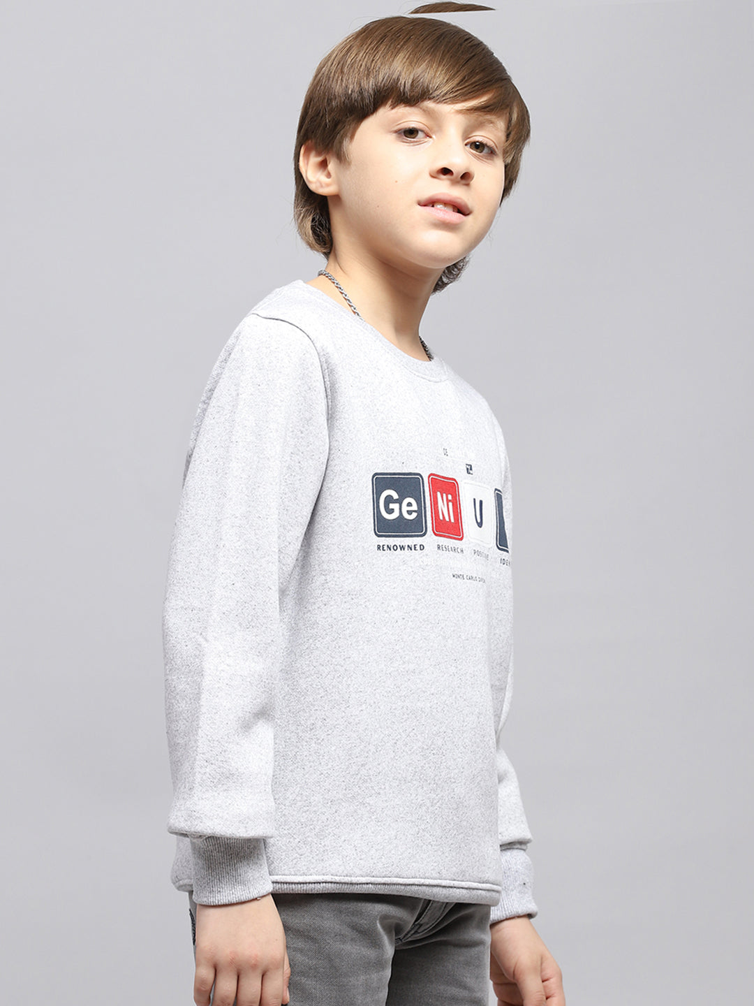 Boys Grey Printed Round Neck Full Sleeve Sweatshirt