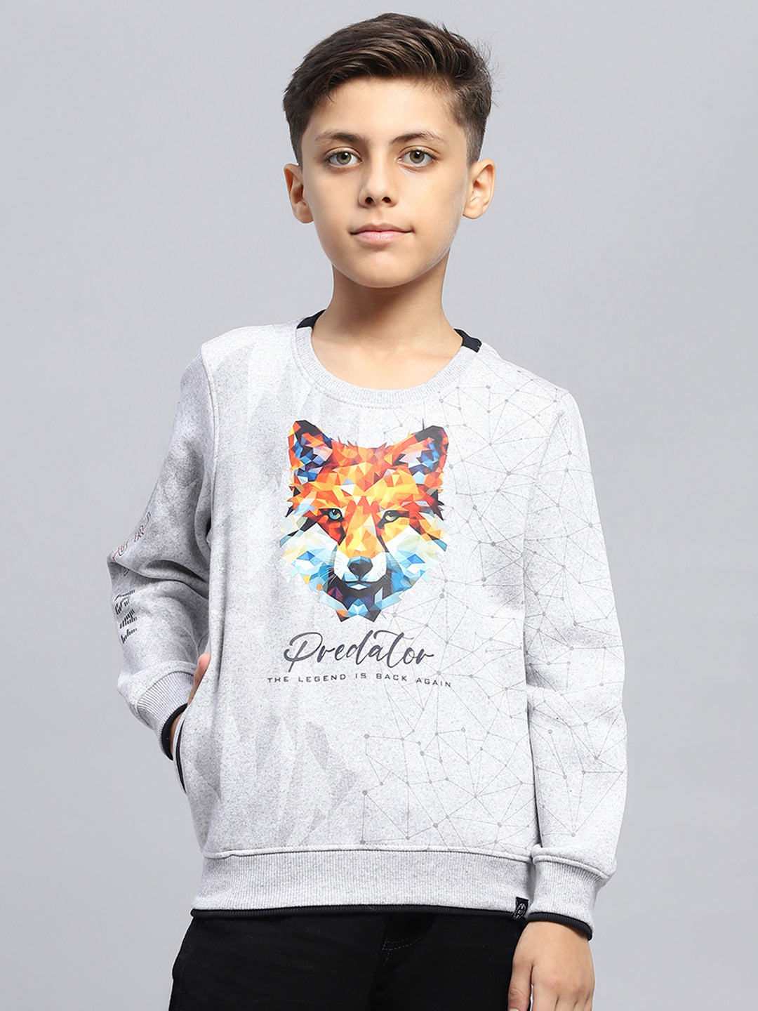 Boys Grey Printed Round Neck Full Sleeve Sweatshirt