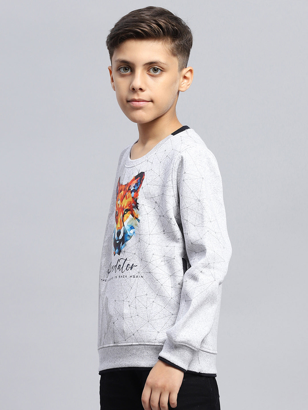 Boys Grey Printed Round Neck Full Sleeve Sweatshirt