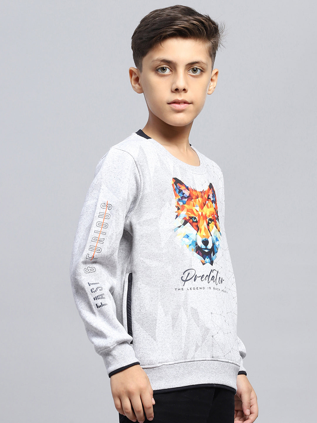 Boys Grey Printed Round Neck Full Sleeve Sweatshirt