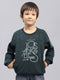 Boys Green Printed Round Neck Full Sleeve Sweatshirt