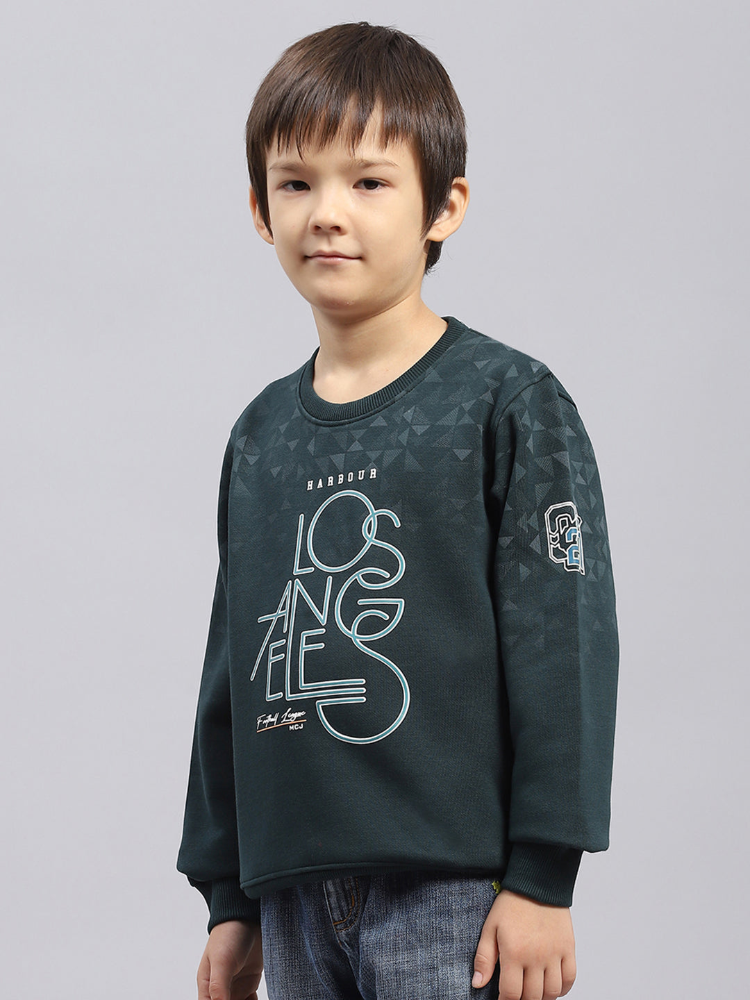 Boys Green Printed Round Neck Full Sleeve Sweatshirt