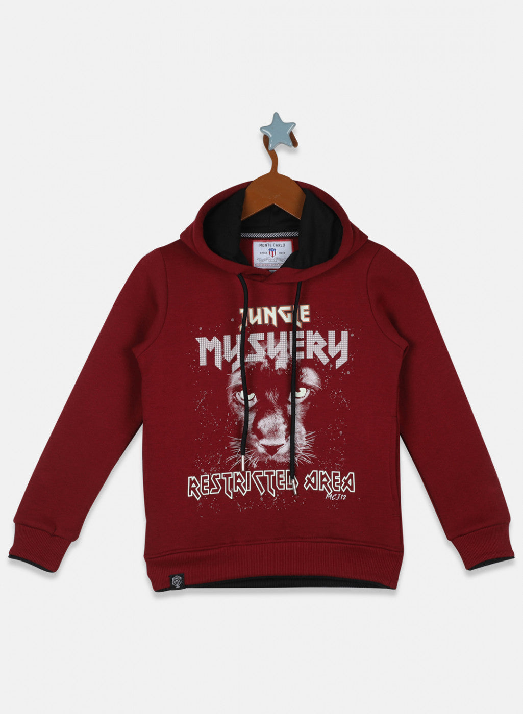 Boys Maroon Printed Sweatshirt