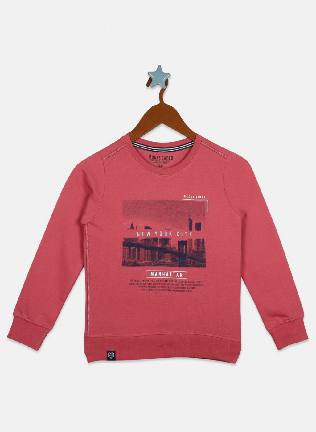 Boys Pink Printed Sweatshirt