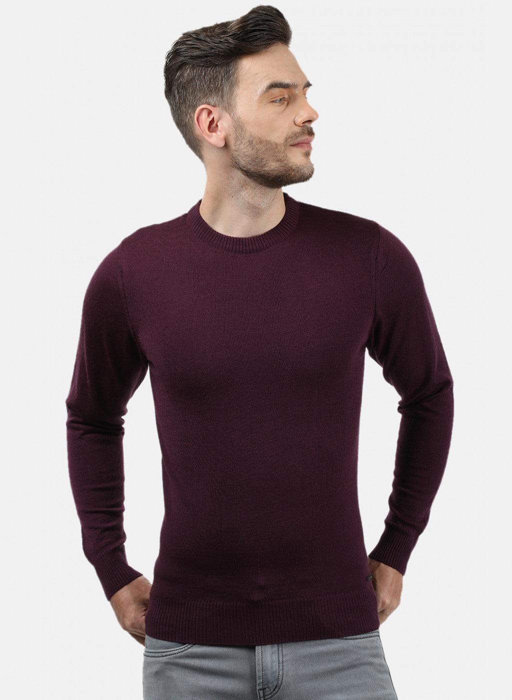 Men Purple Solid Pullover