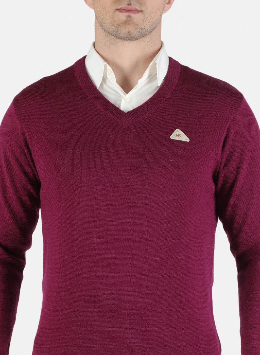 Men Purple Solid Pullover