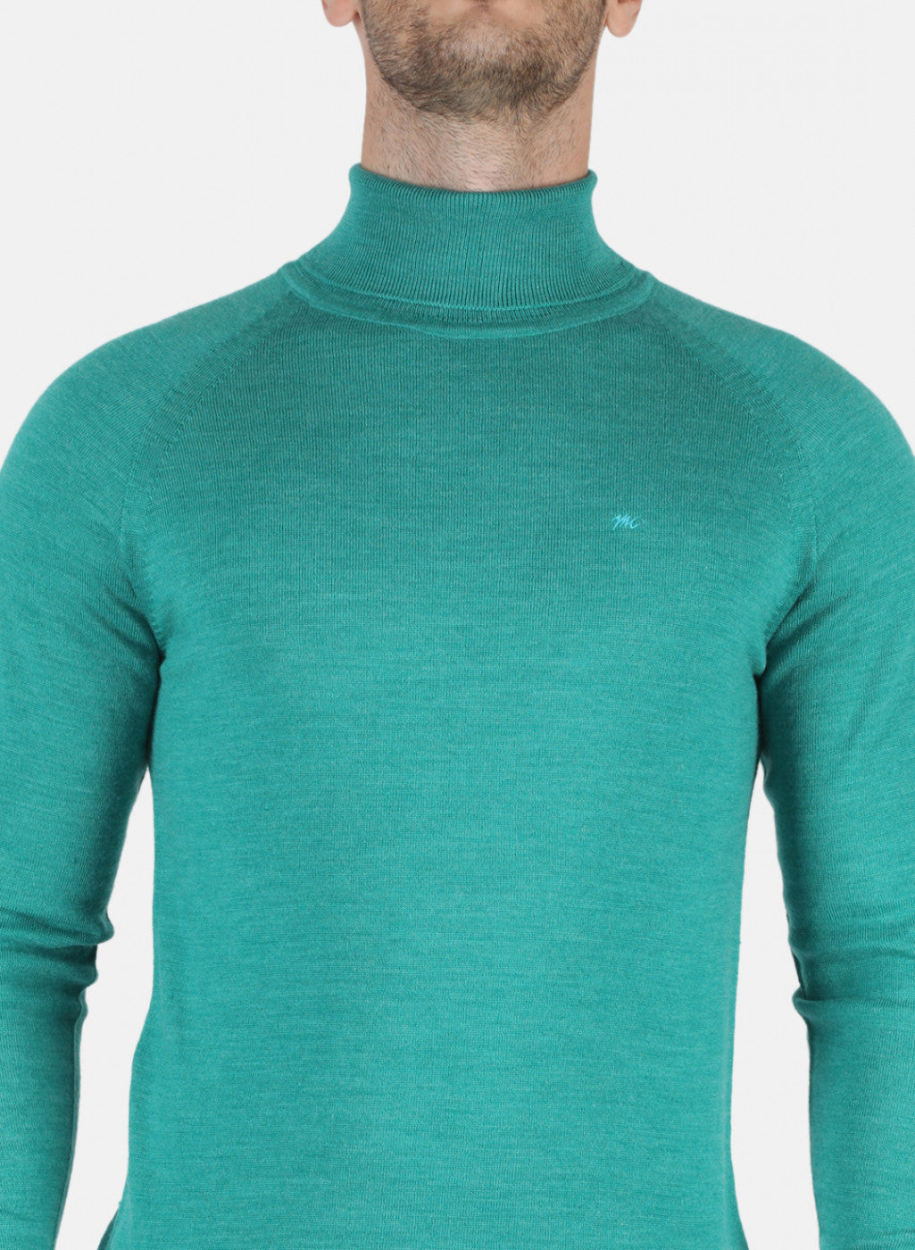 Men Blue Solid Pullover