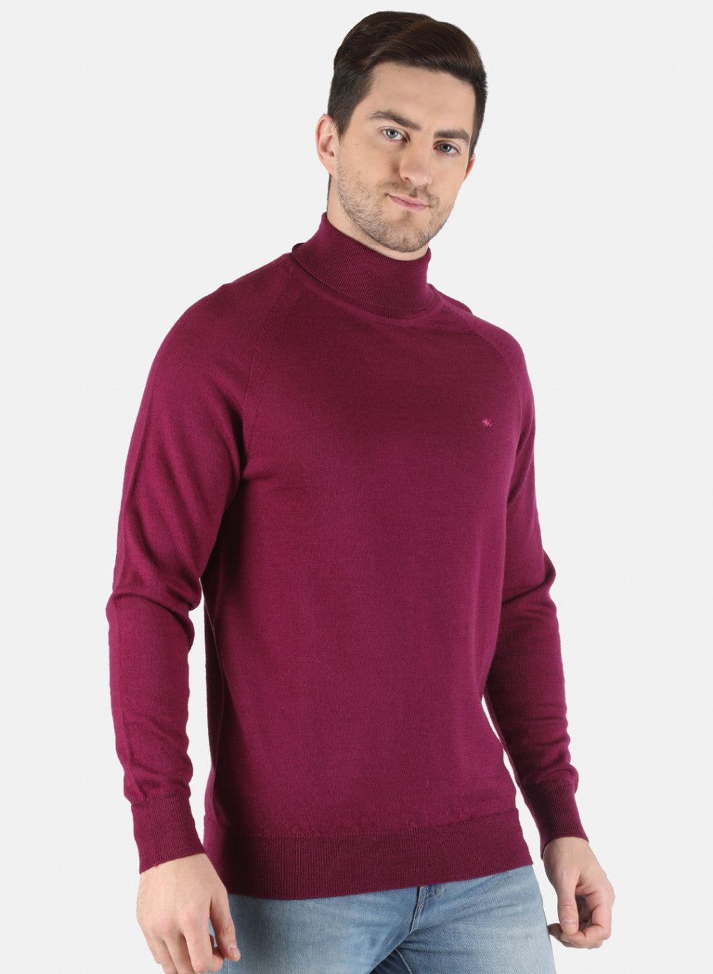 Men Purple Solid Pullover