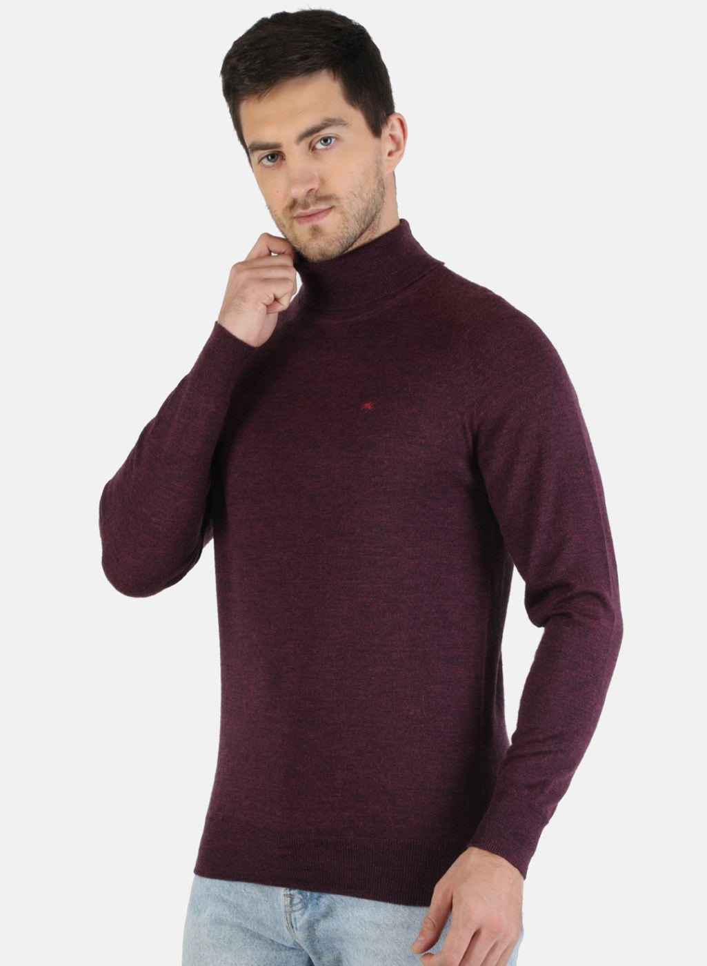 Men Purple Solid Pullover