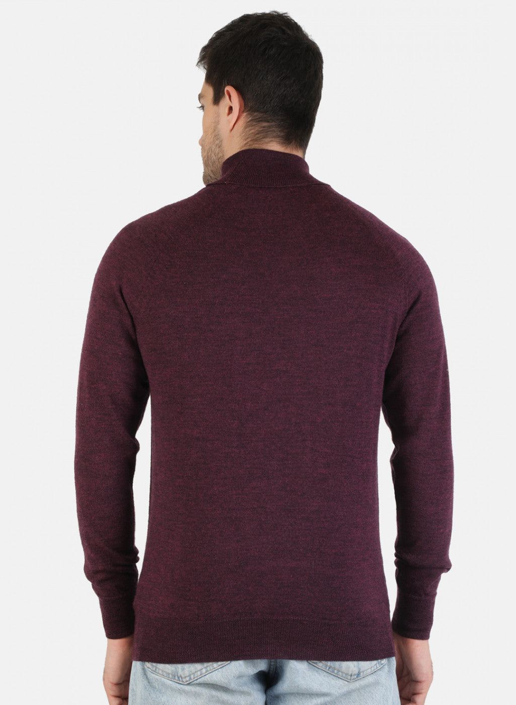 Men Purple Solid Pullover