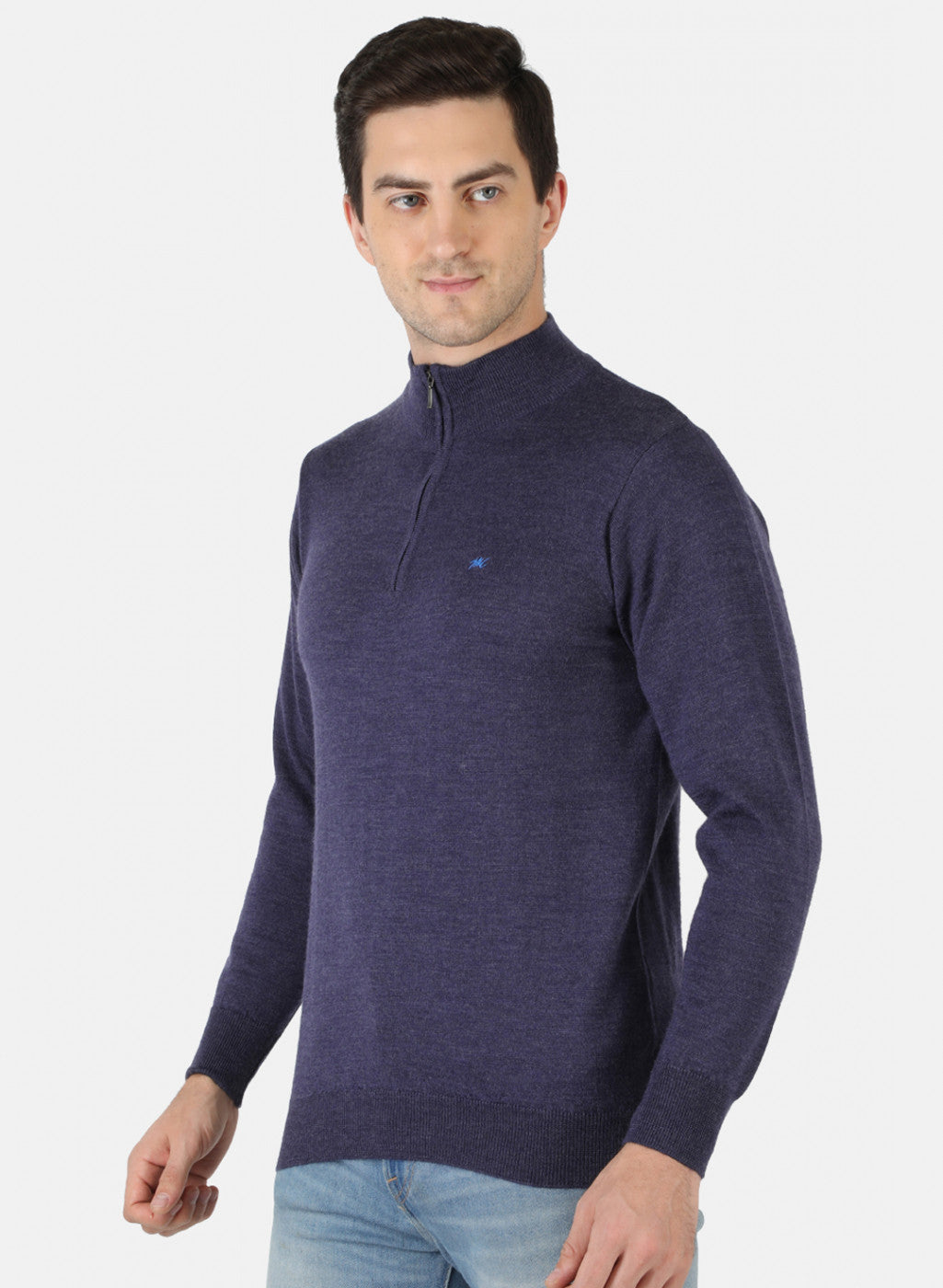 Men Purple Solid Pullover