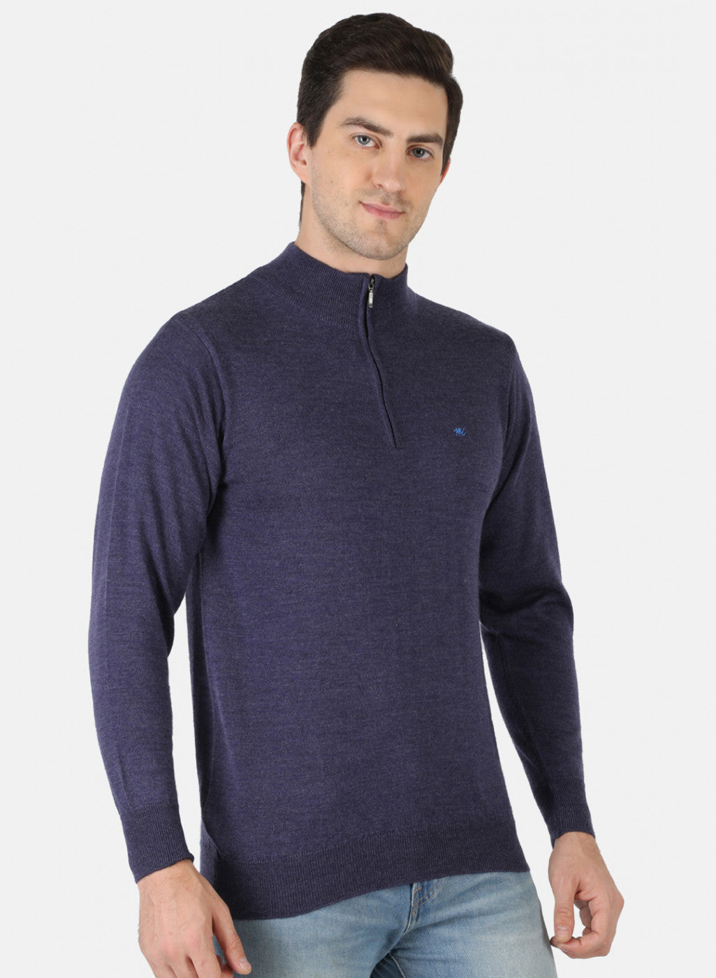 Men Purple Solid Pullover