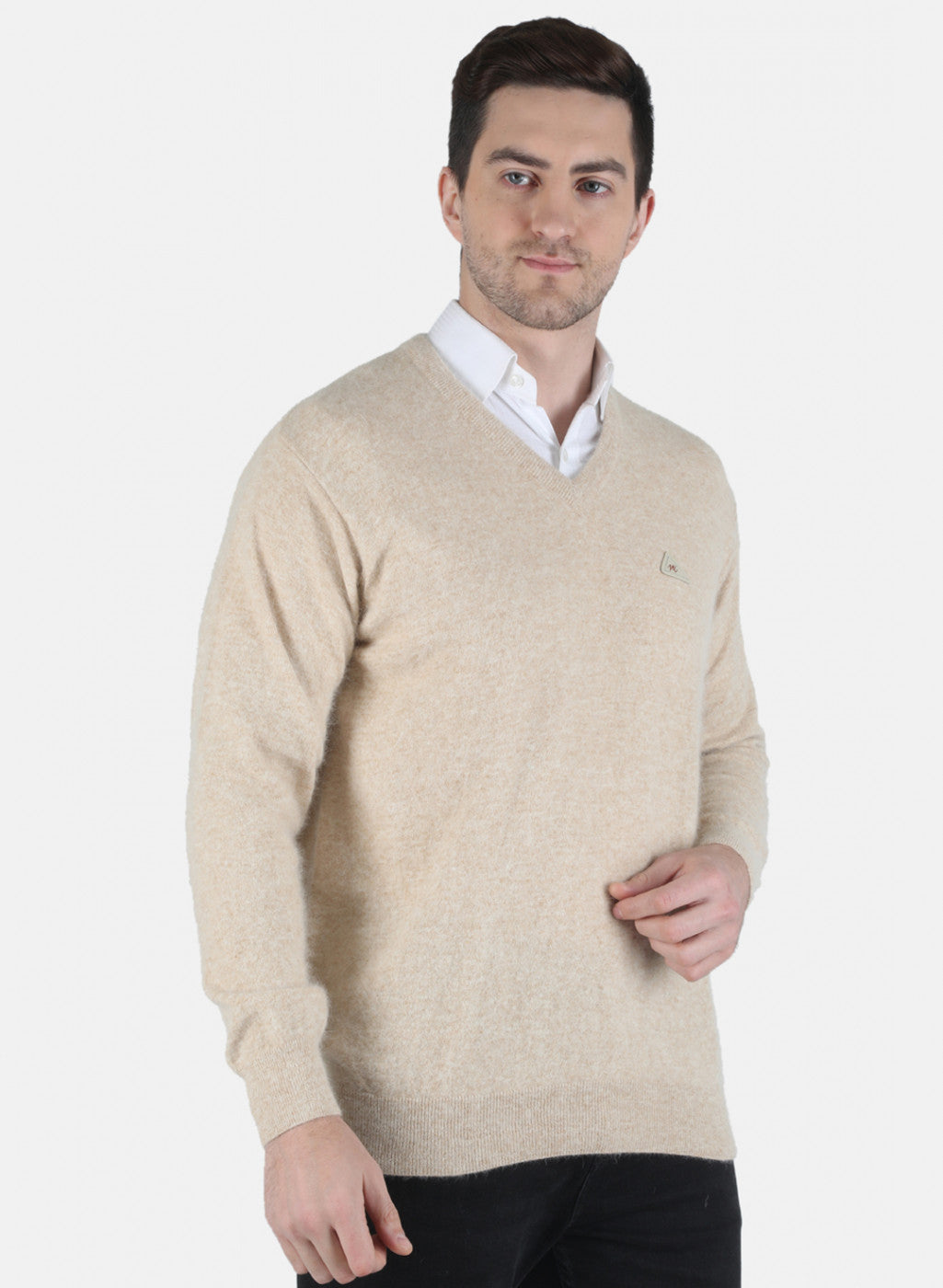 Men Beige Solid Pullover