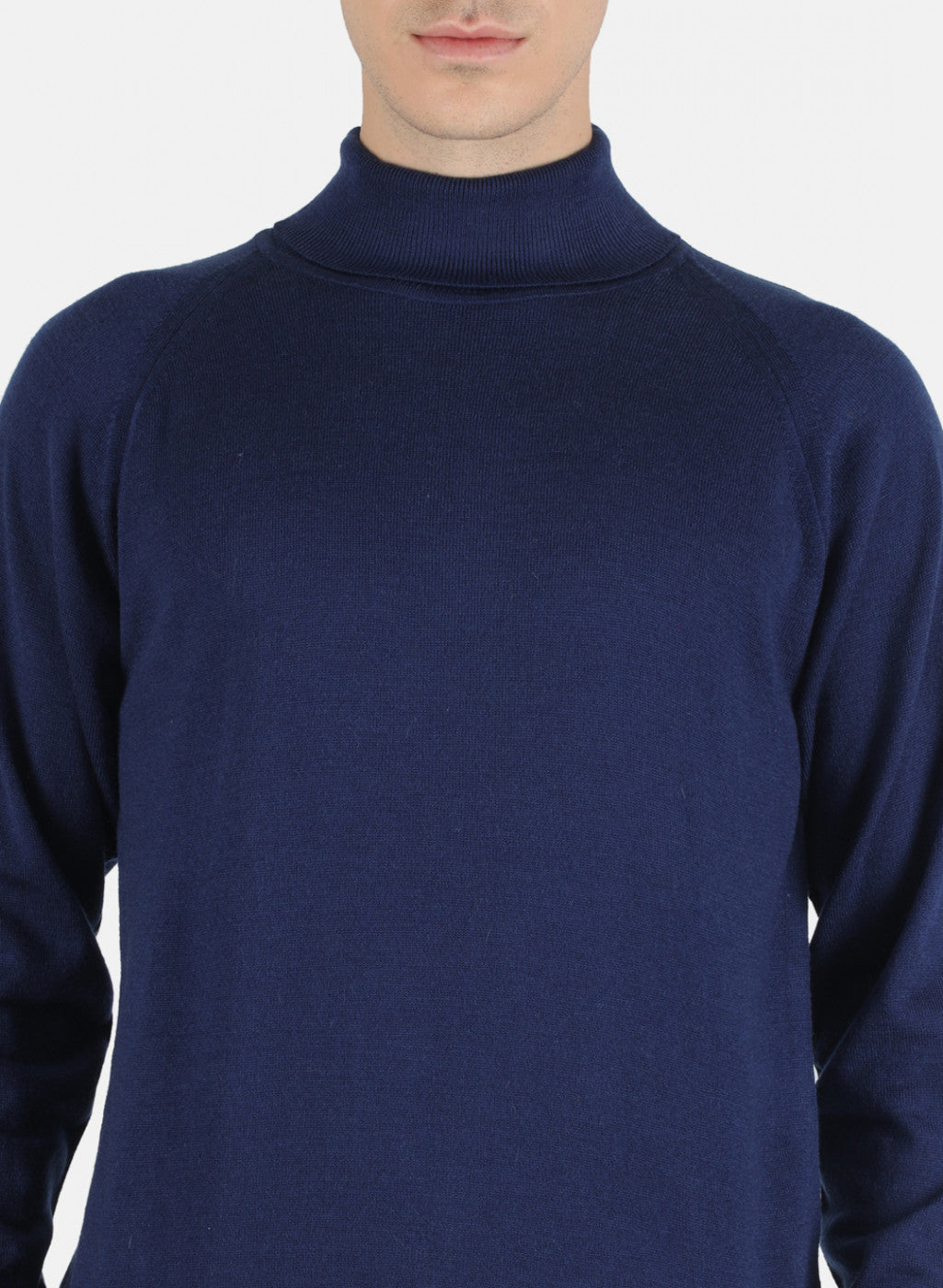 Men Blue Solid Pullover