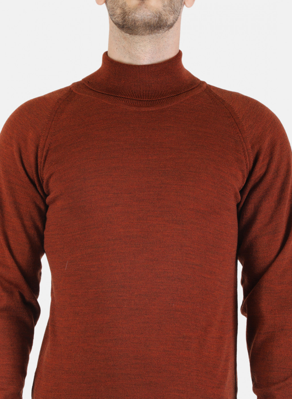 Men Brown Solid Pullover