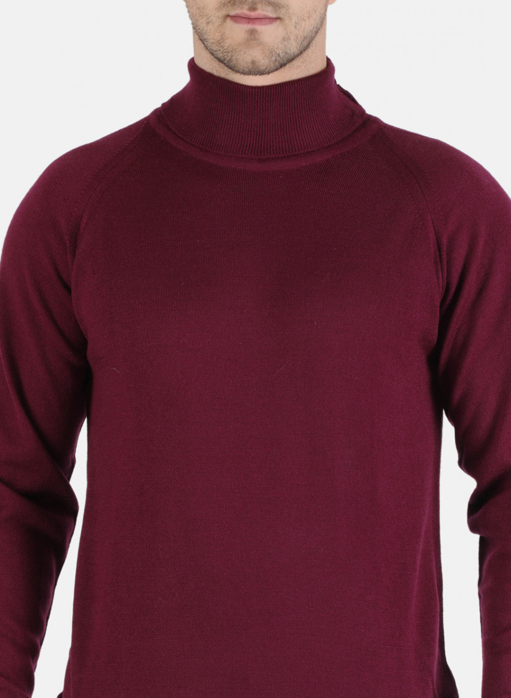 Men Purple Solid Pullover