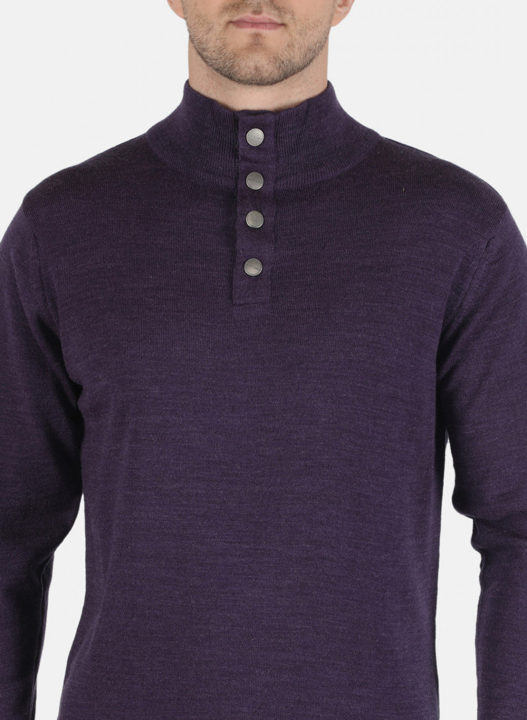 Men Purple Solid Pullover