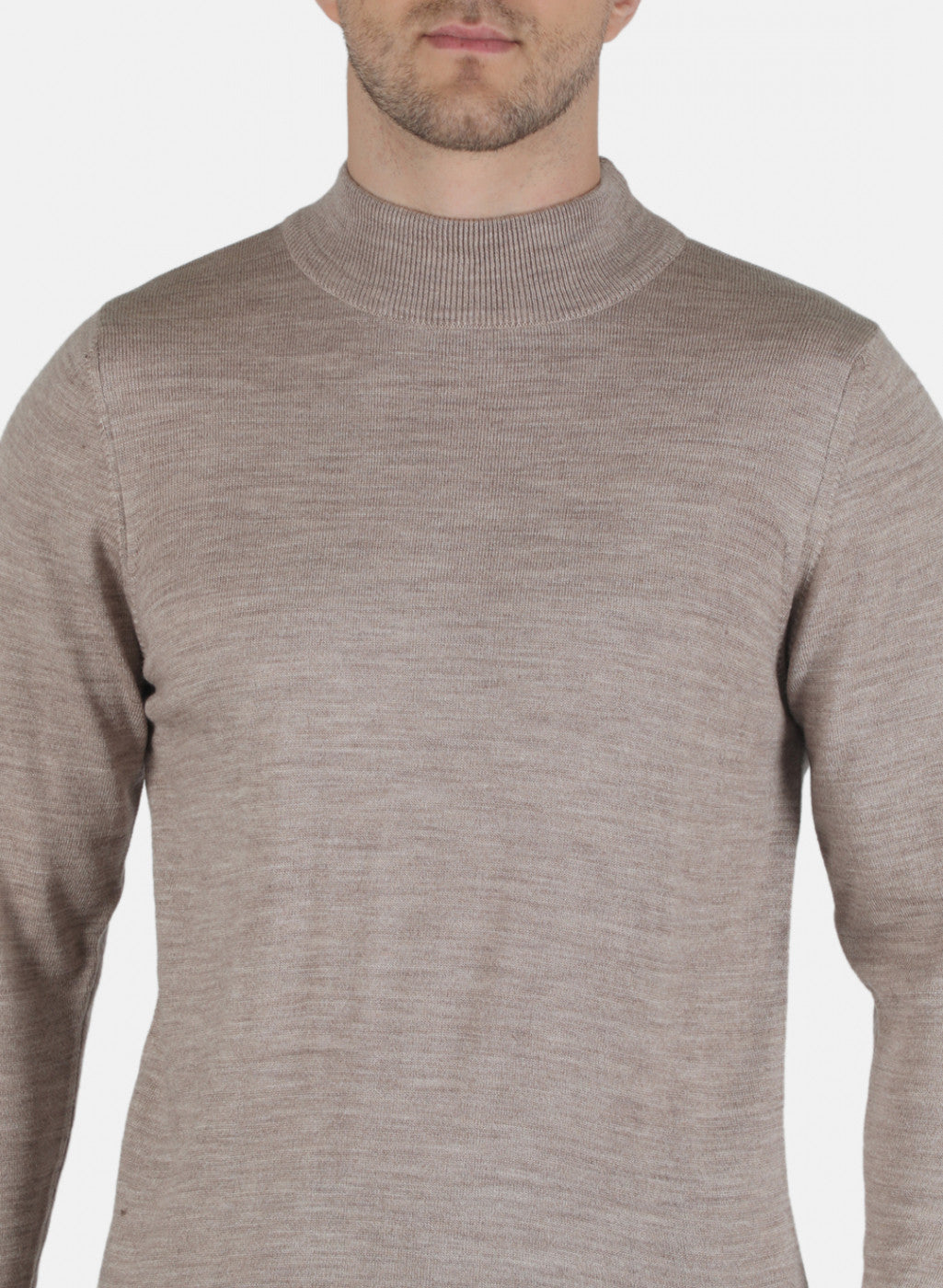 Men Beige Solid Pullover