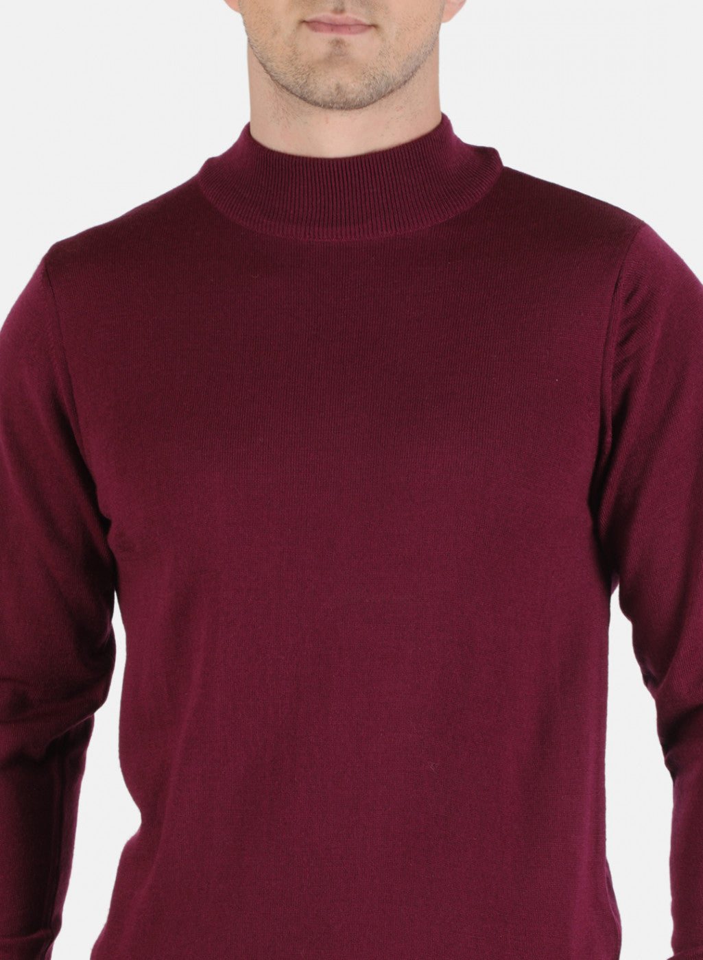 Men Purple Solid Pullover