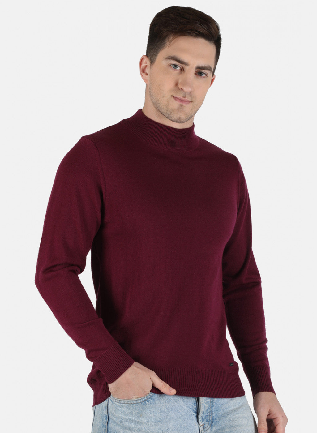 Men Purple Solid Pullover