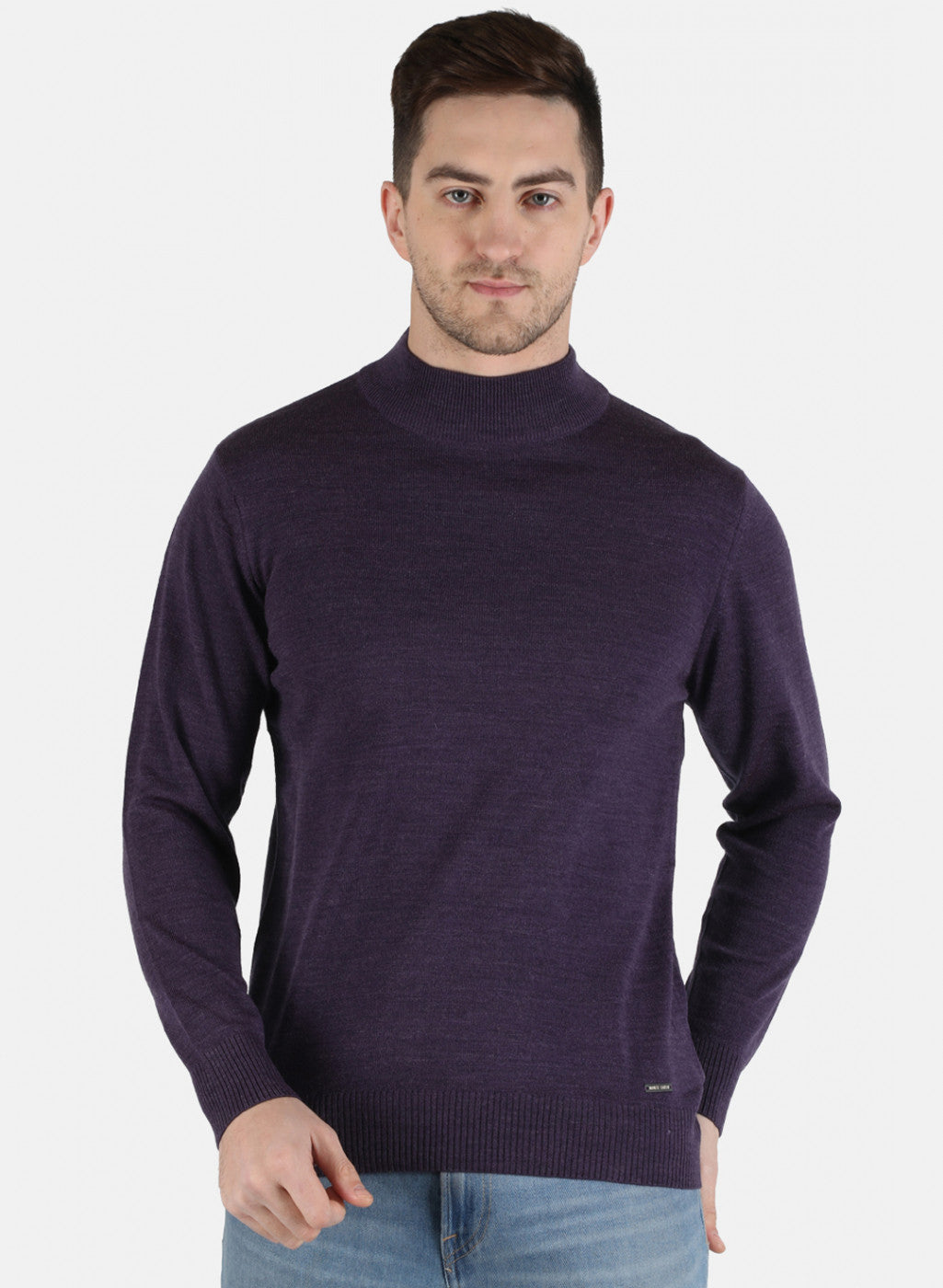 Men Purple Solid Pullover