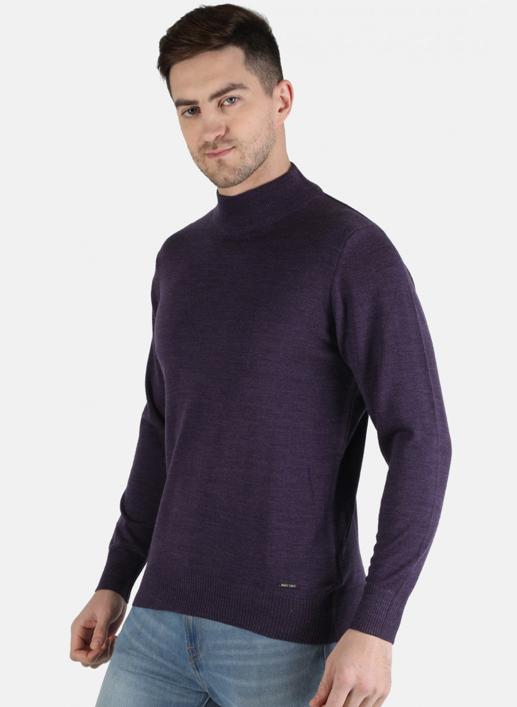 Men Purple Solid Pullover