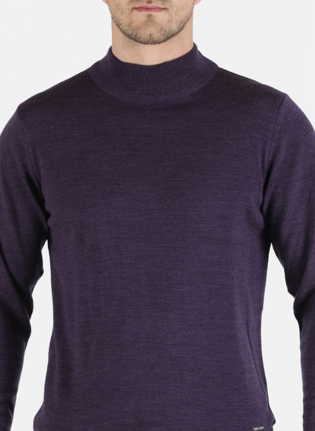 Men Purple Solid Pullover