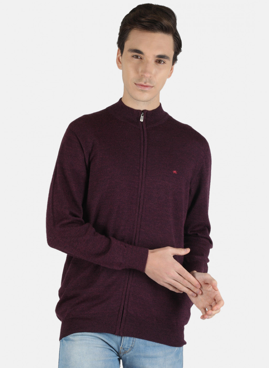 Men Purple Solid Pullover