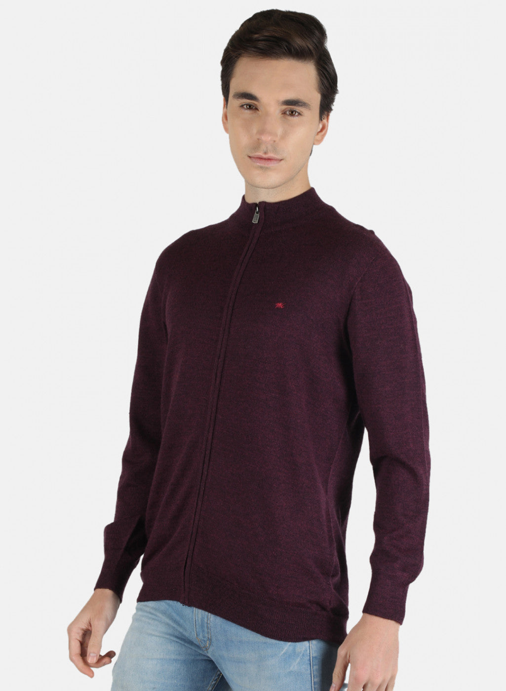 Men Purple Solid Pullover