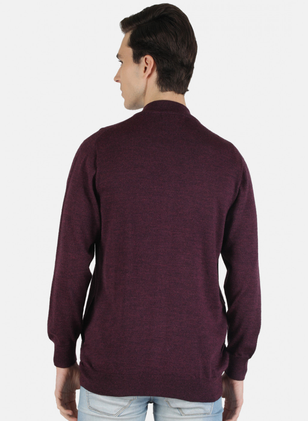 Men Purple Solid Pullover