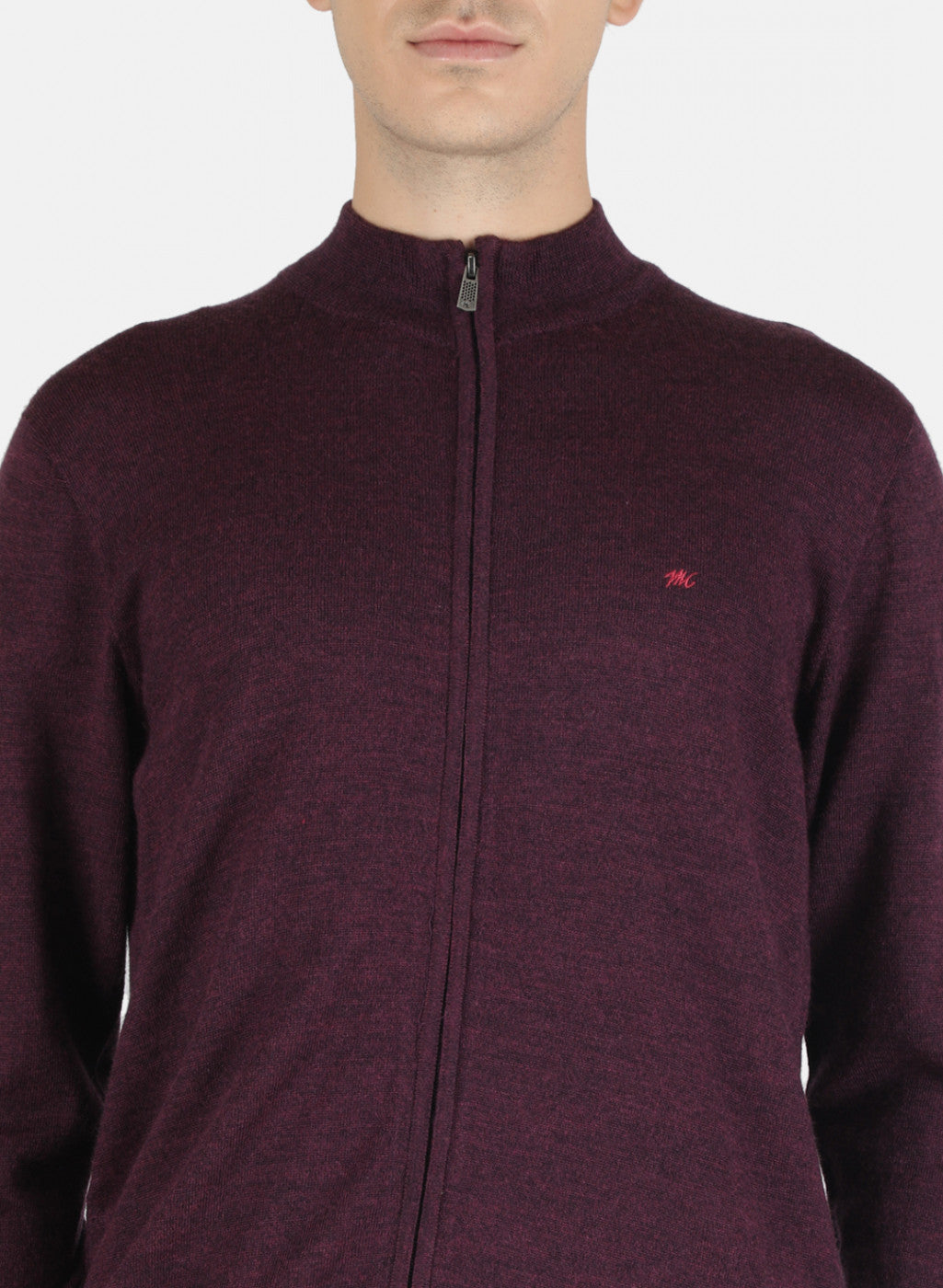 Men Purple Solid Pullover