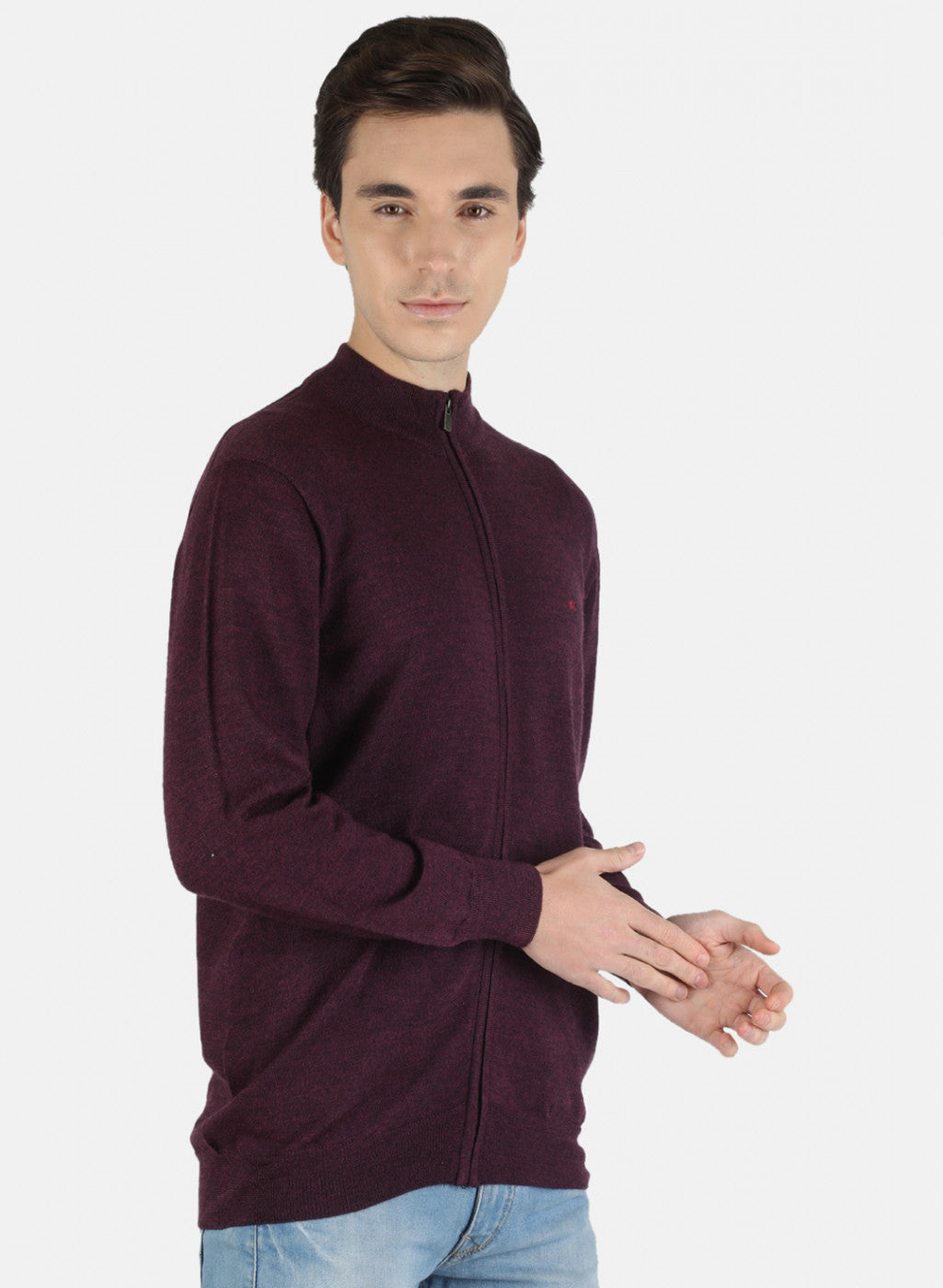 Men Purple Solid Pullover