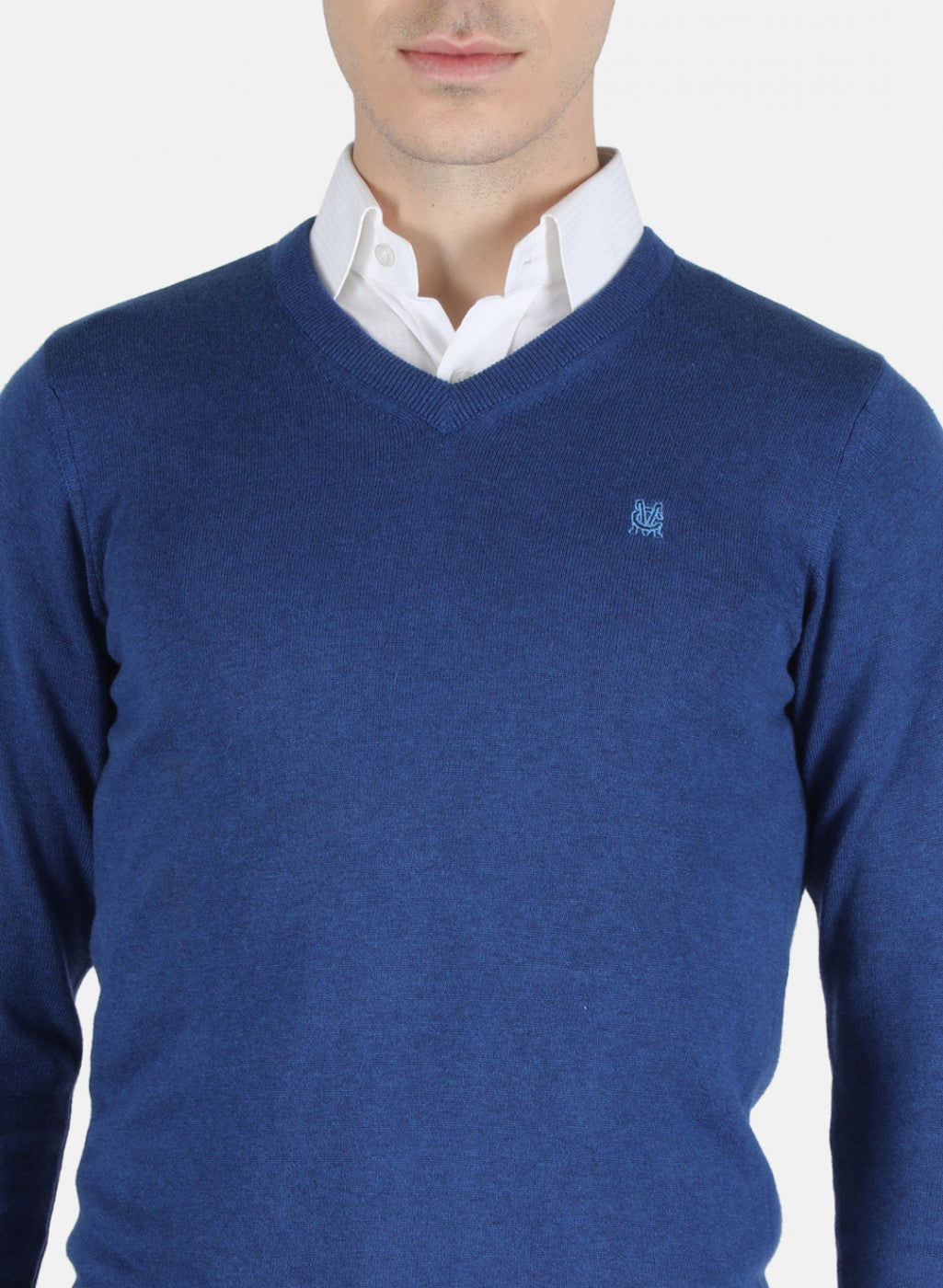 Men Blue Solid Pullover